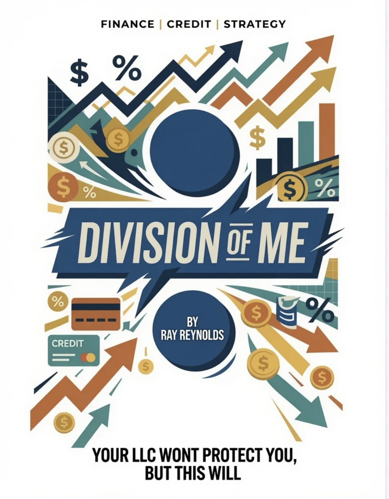Division of Me book cover by Ray Reynolds